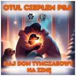 otul-cieplem-psa-na-zime!-daj-zimowy-dom-tymczasowy!.jpg